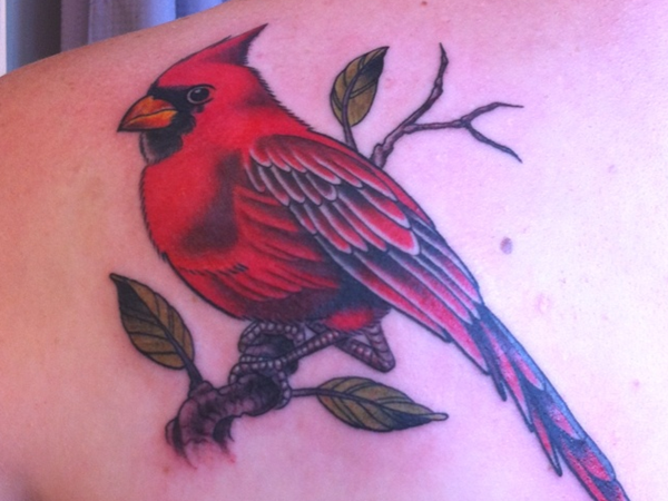 Simbolismo de los tatuajes de cardenales y su significado