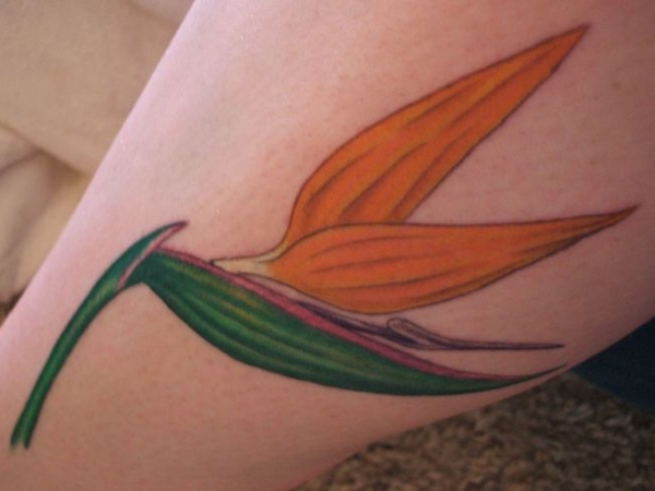 &iquest;Qu&eacute; significa un tatuaje en color naranja?