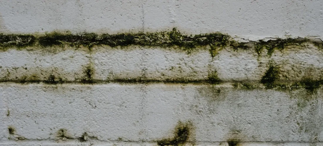 Cómo saber si la humedad sube del suelo o se forma dentro de la casa - Bricolaje