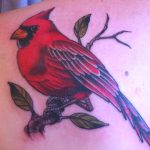 Simbolismo de los tatuajes de cardenales y su significado. (tatuajex.com) Todos los derechos reservados.