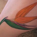 ¿Qué significa un tatuaje en color naranja?. (tatuajex.com) Todos los derechos reservados.