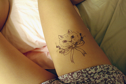 gato1