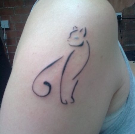 gato2