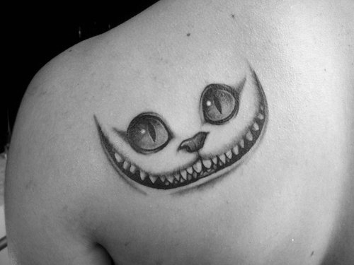 gato5