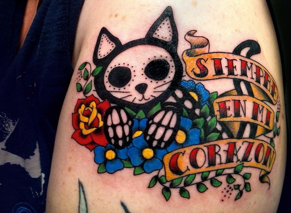 gato6