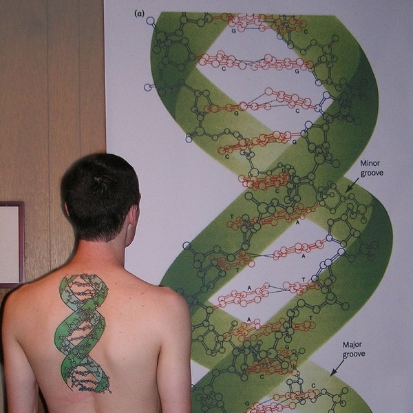 Los mejores 10 tatuajes científicos que se han hecho (8)
