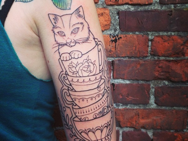gato10